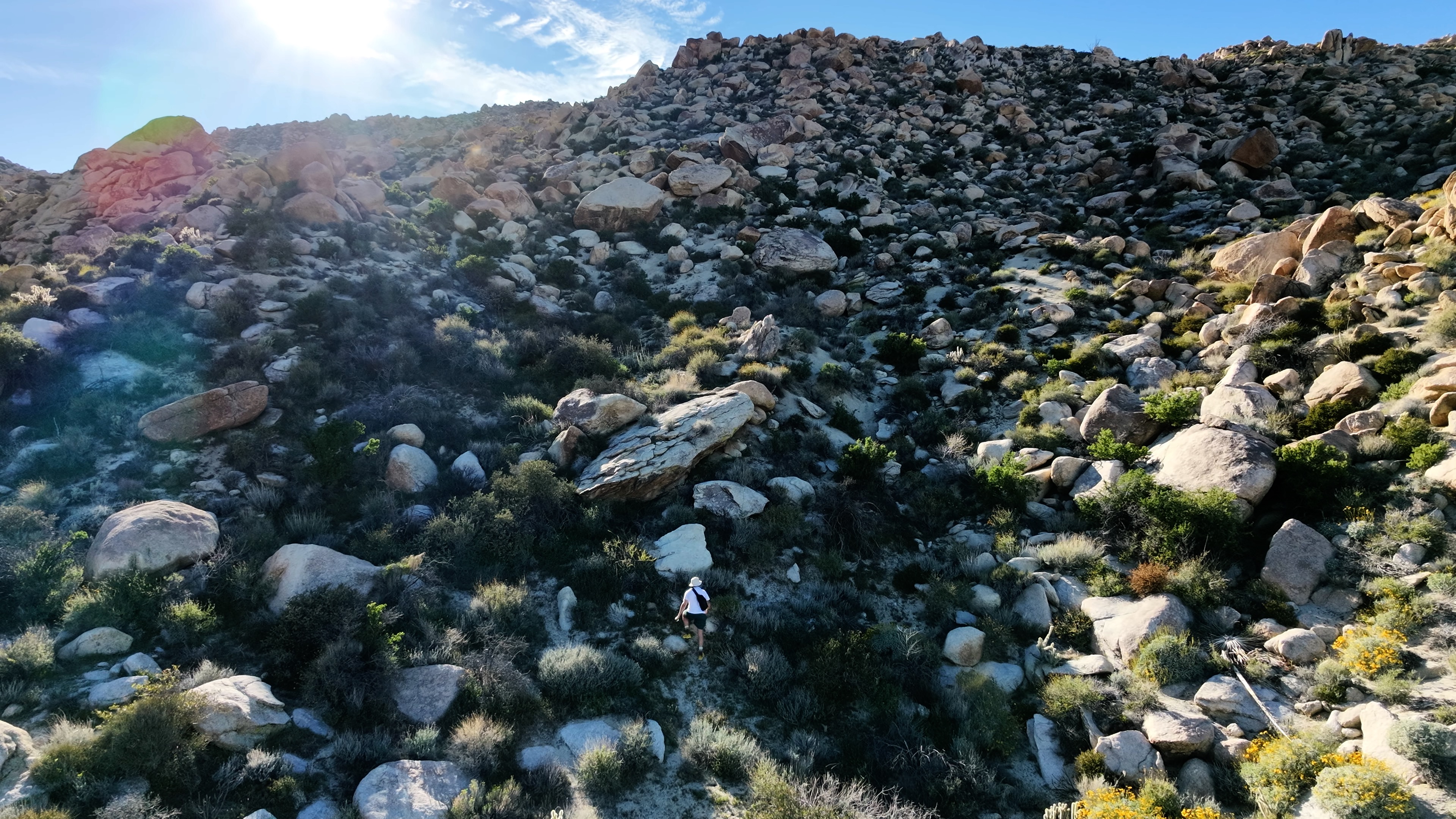 Portfolio image placeholder